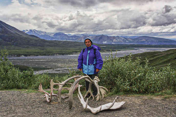 EEUU - Alaska 26 - parque nacional de Denali .jpg